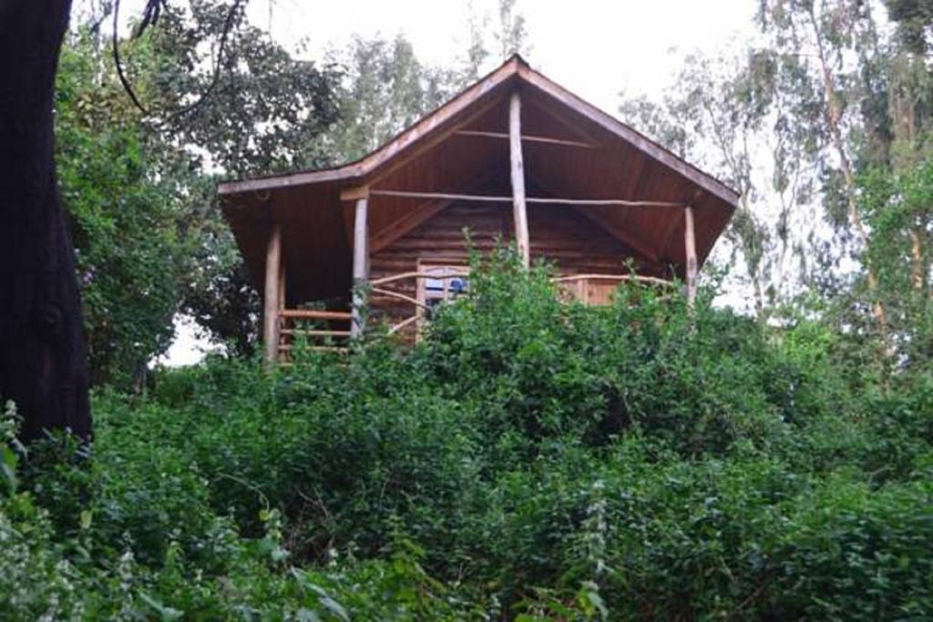 Lake Bunyonyi Eco Resort Chabahinga Номер фото